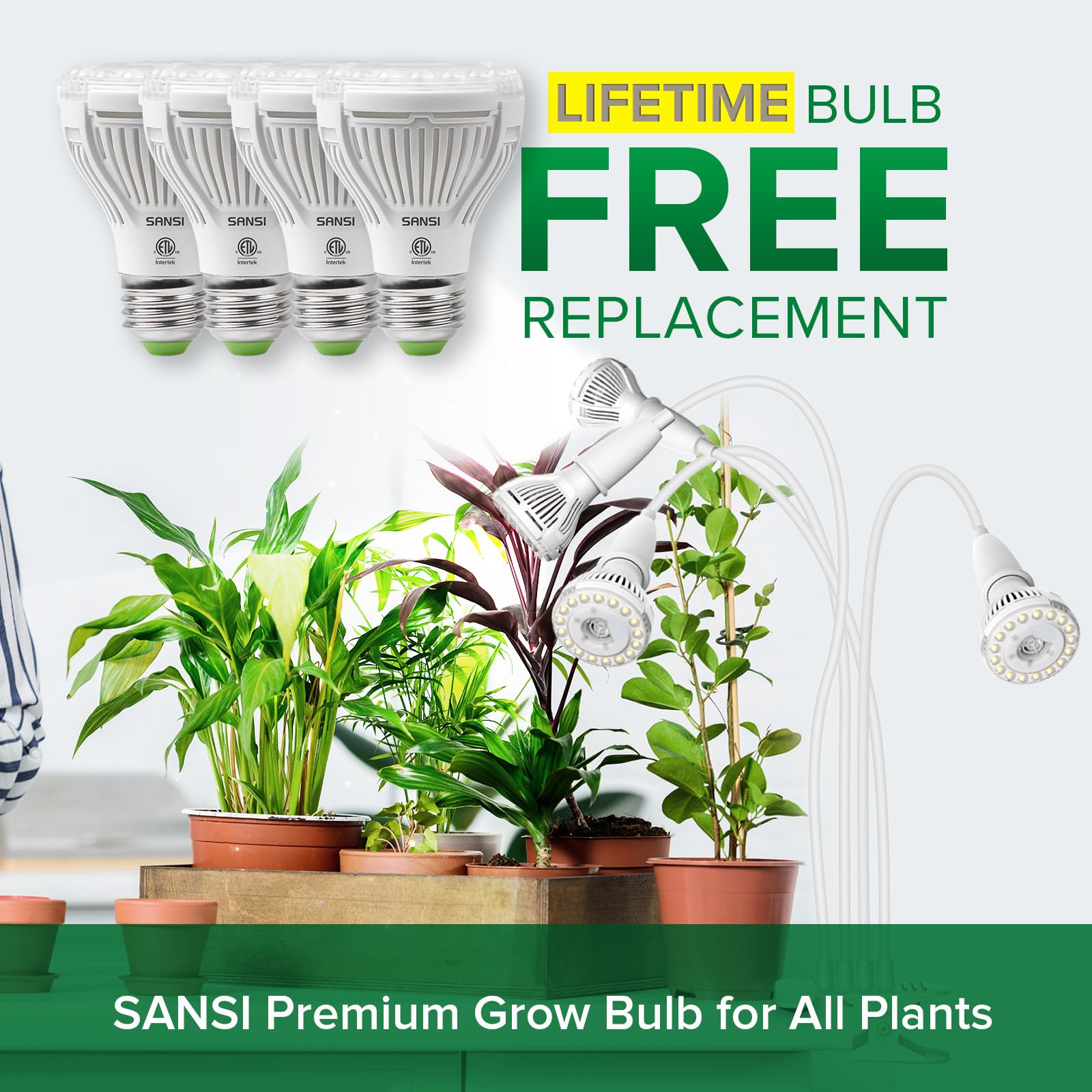 SANSI full-spectrum 4000K light supports healthy plant growth