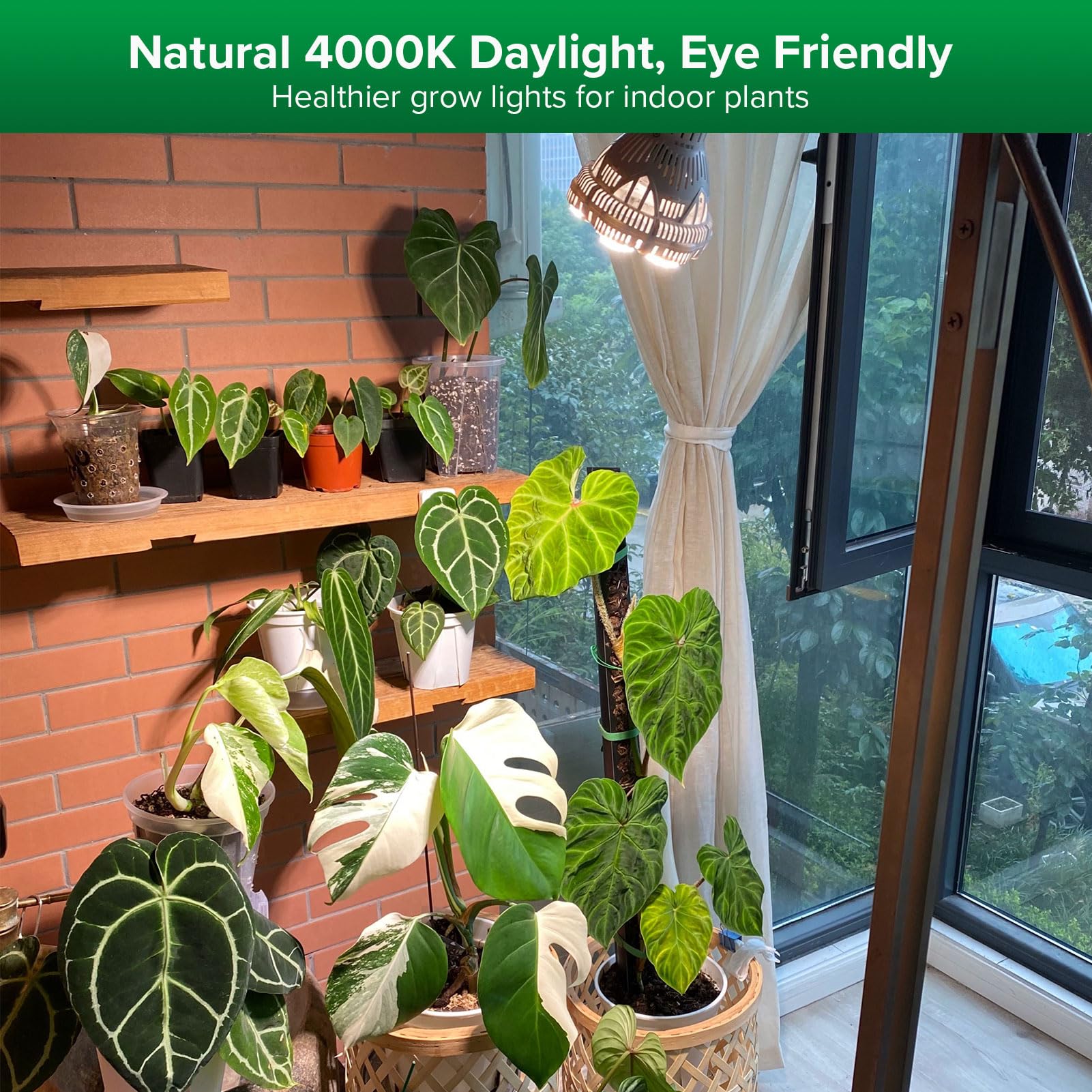 SANSI 4000K daylight grow light ideal for seed starting and healthy foliage.