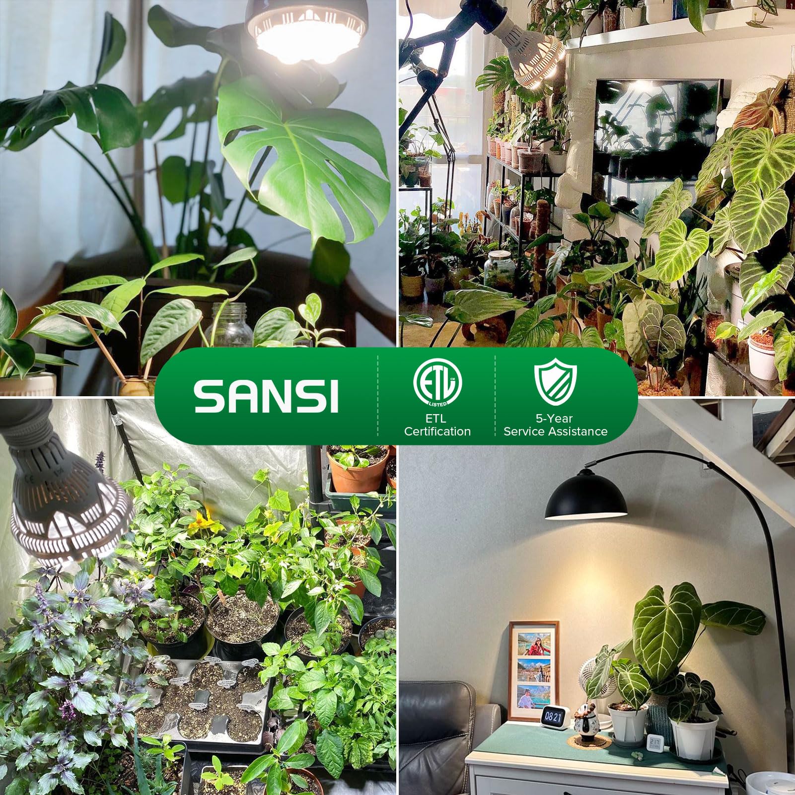SANSI ETL-listed fixture ensures safety and reliable performance.