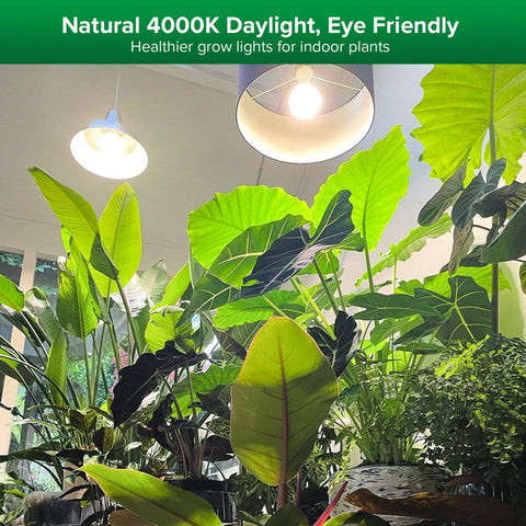 SANSI full spectrum emission supports healthy leaf development.