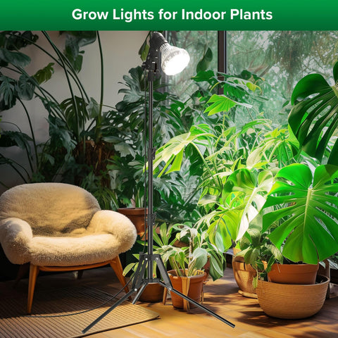 Versatile application for monstera, basil, orchids, and more with SANSI light