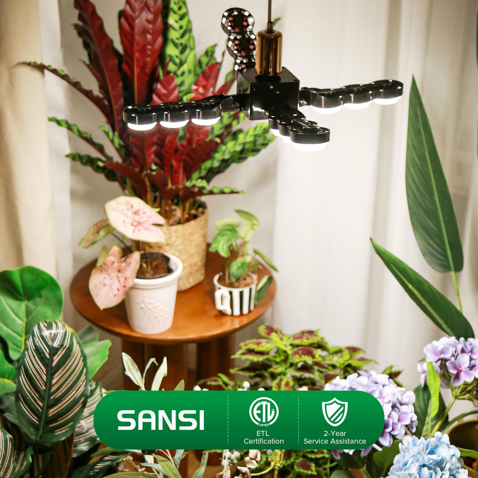 SANSI Grow Light ideal for middle to large indoor plants like fiddle leaf fig.