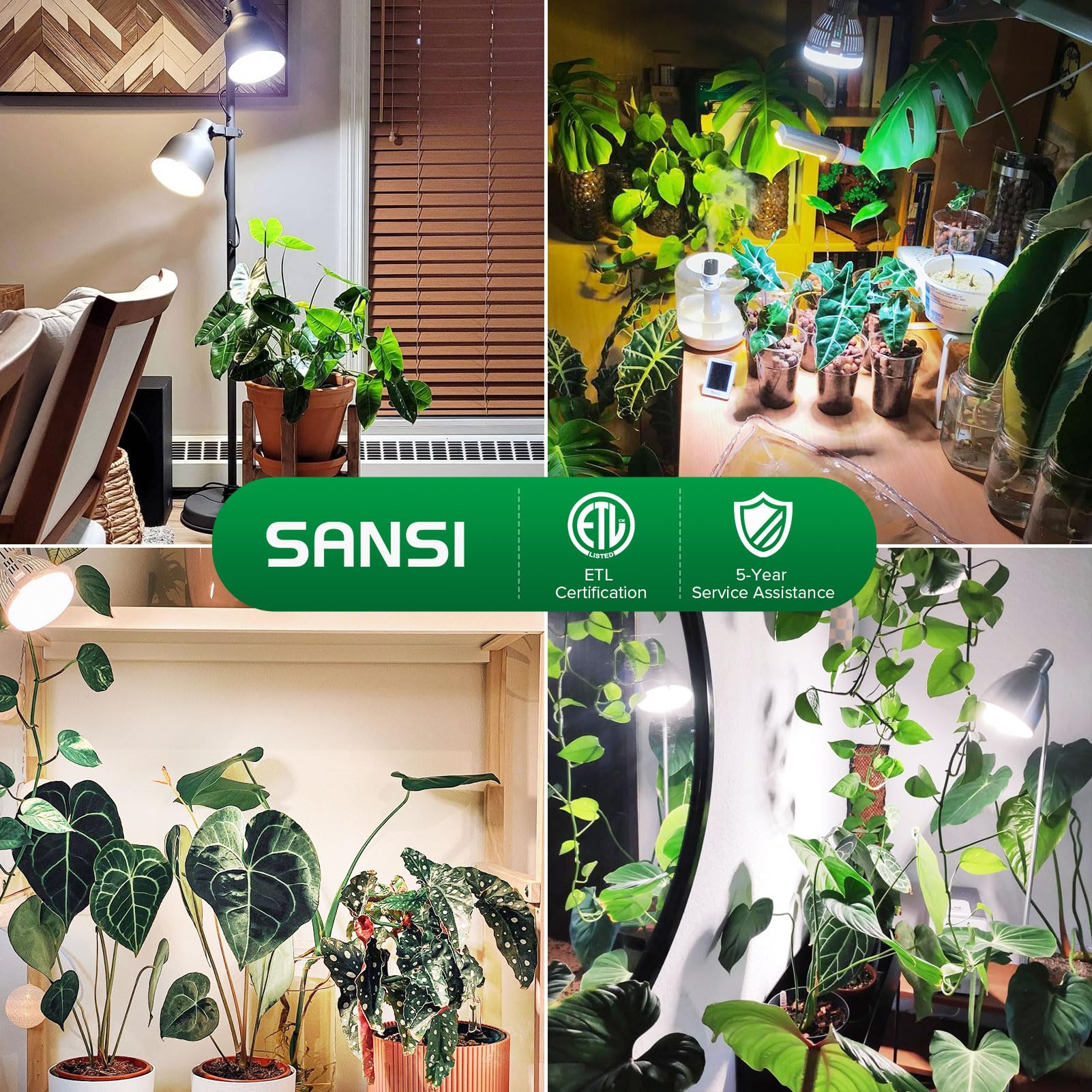 Indoor plant growth setup under SANSI grow light demonstrates small-space cultivation.