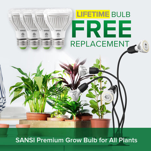 SANSI replaceable bulbs allow easy maintenance and reduced waste
