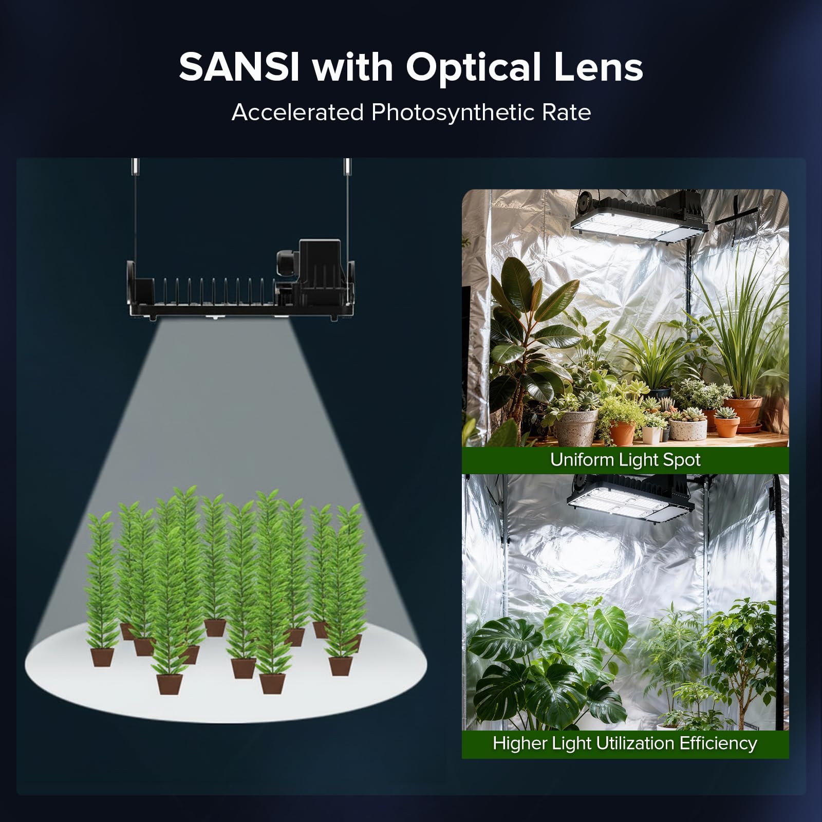 SANSI 2-year support and durable build for confident use