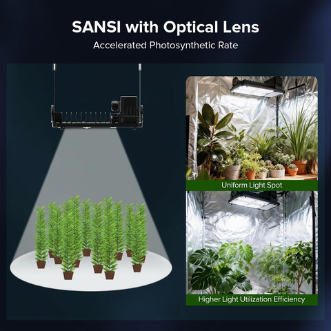 SANSI 2-year support and durable build for confident use