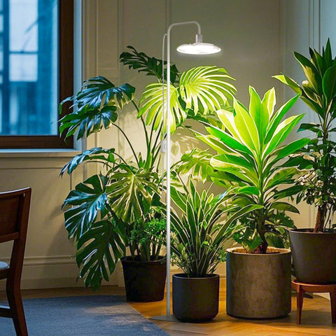 SANSI Grow Lights timer function with 8/12/14 hour cycles