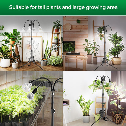 SANSI indoor garden setup demonstrates practical use of full-spectrum lighting.
