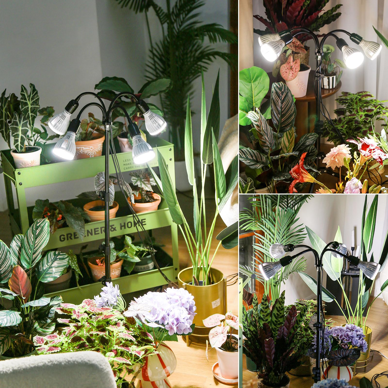 SANSI indoor plant setup shows floor lamp style lighting for compact spaces.
