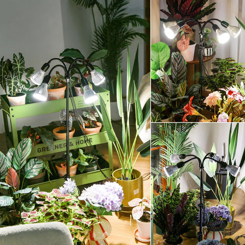 SANSI indoor plant setup shows floor lamp style lighting for compact spaces.