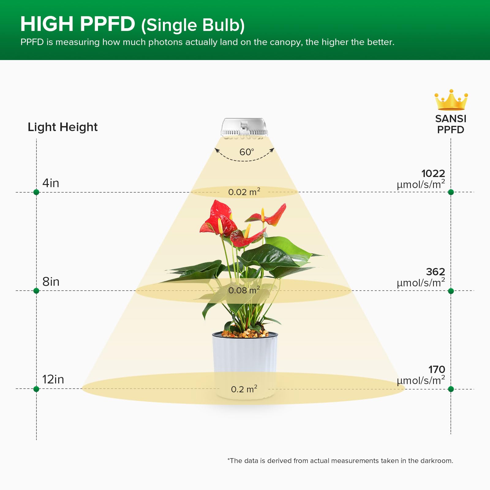 SANSI dual-head unit shown with leafy greens, highlighting efficient growth lighting.
