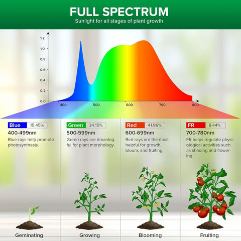 SANSI grow light emits 1000lm brightness with energy savings