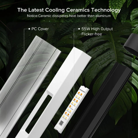 SANSI T10 includes a long 99-inch cord for flexible placement.