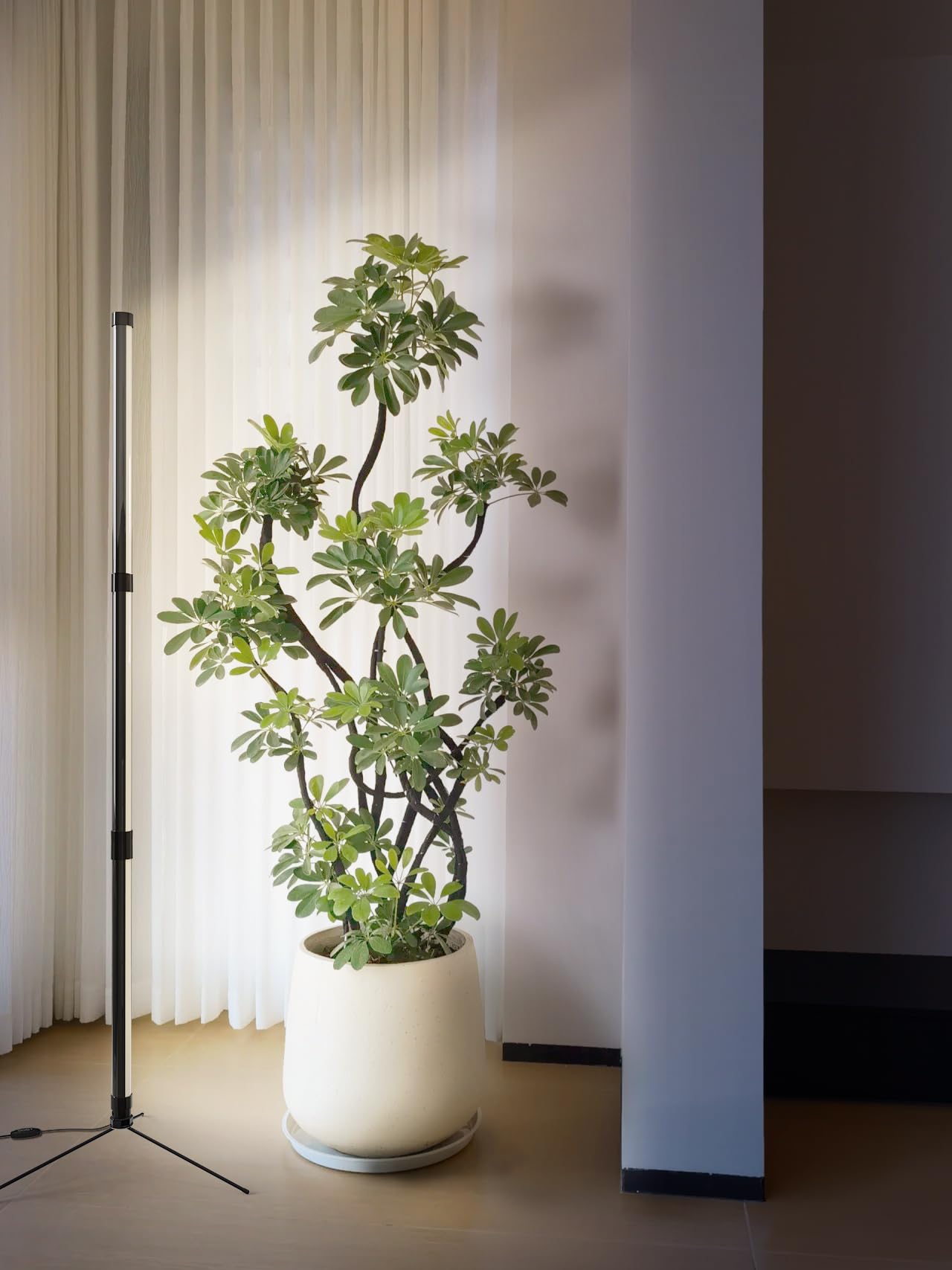 SANSI T10 ideal for seedlings and indoor plant growth