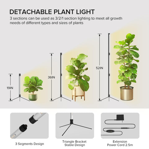 SANSI T10 three-height positions allow flexible reach for tall plants.
