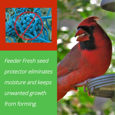 Sapphire Labs Feeder Fresh in backyard feeder use preserves dry seed.