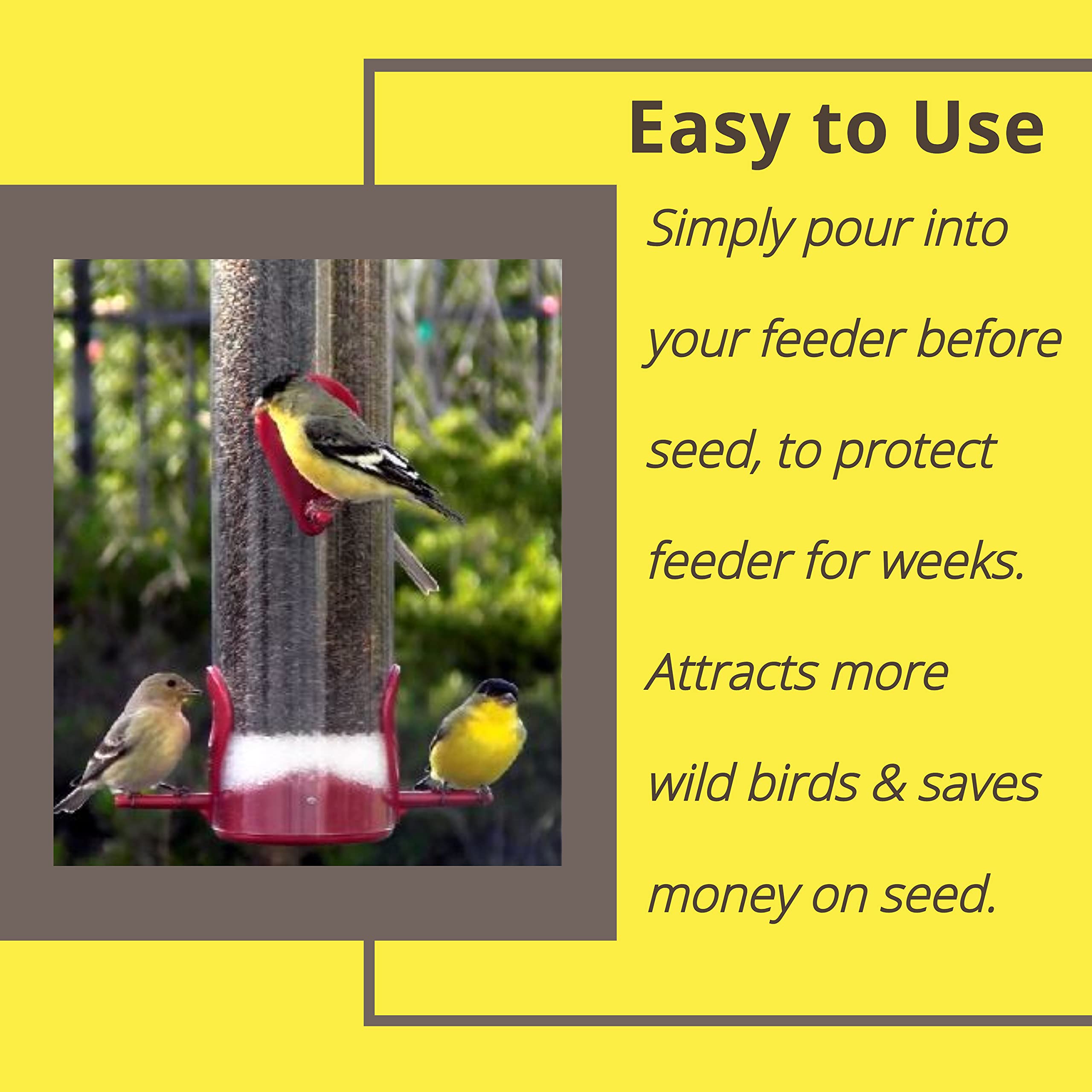 Sapphire Labs Feeder Fresh in backyard setup suggests easier maintenance.