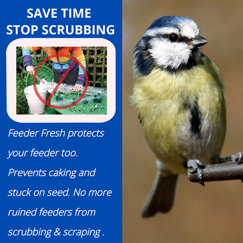 Sapphire Labs Feeder Fresh bag open reveals ready-to-use dry seed.