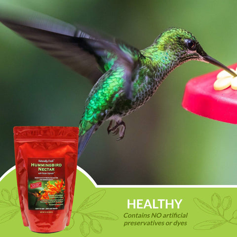 Sapphire Labs nectar near a hummingbird feeder, ready for reliable feeding.