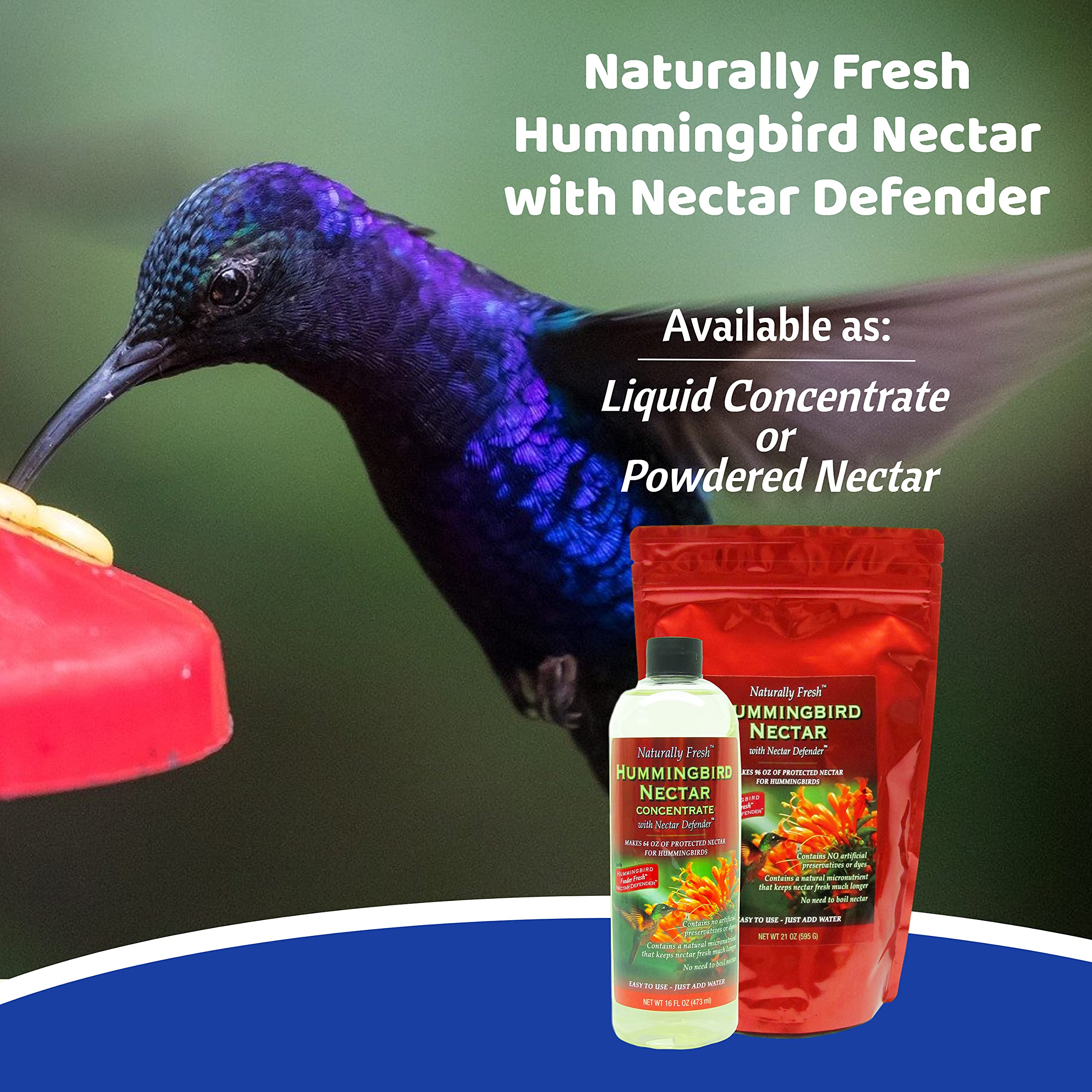 Sapphire Labs hummingbird feeder filled with nectar inviting visits.