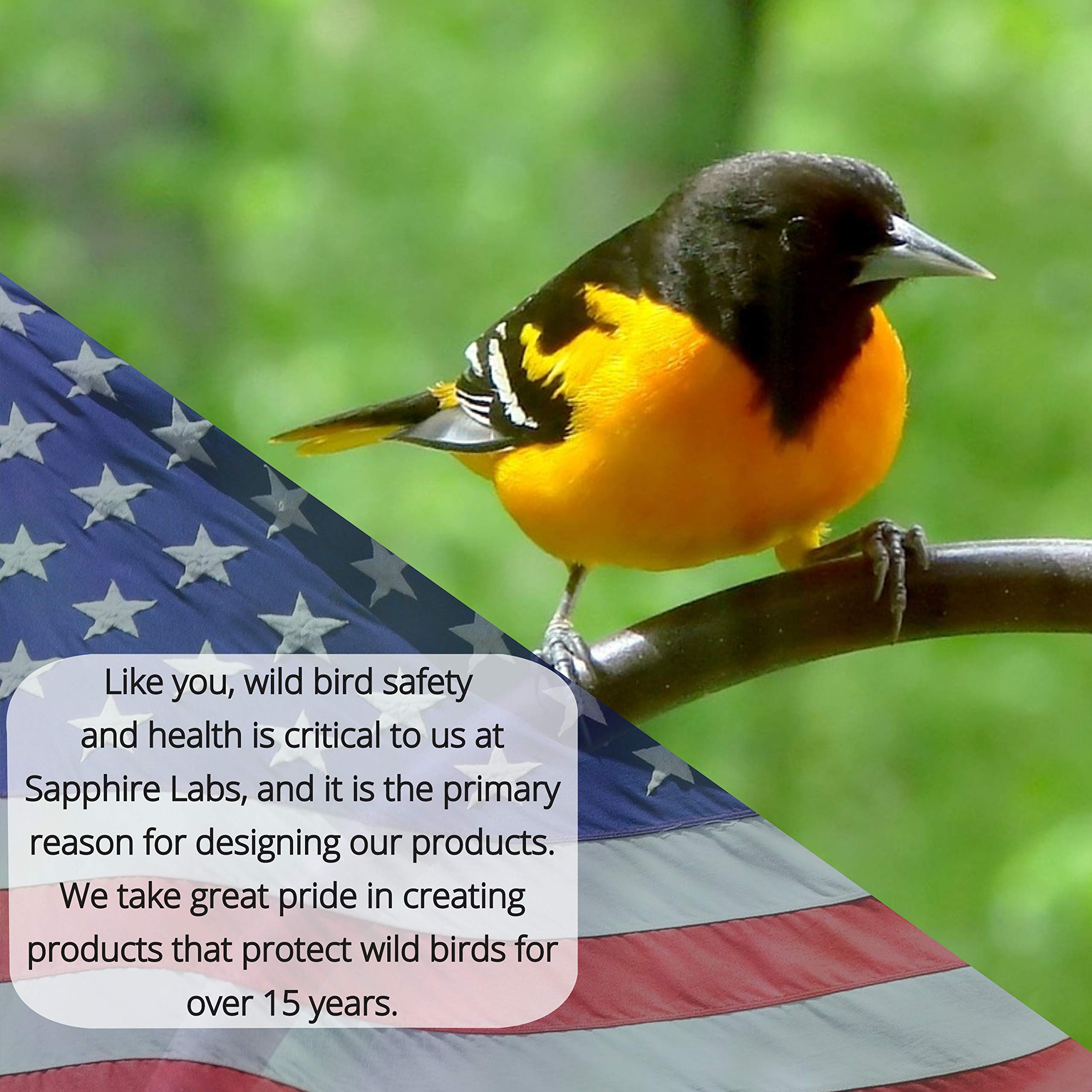 Sapphire Labs Nectar Fortress ant guard bird feeder setup shows protected feeding area.