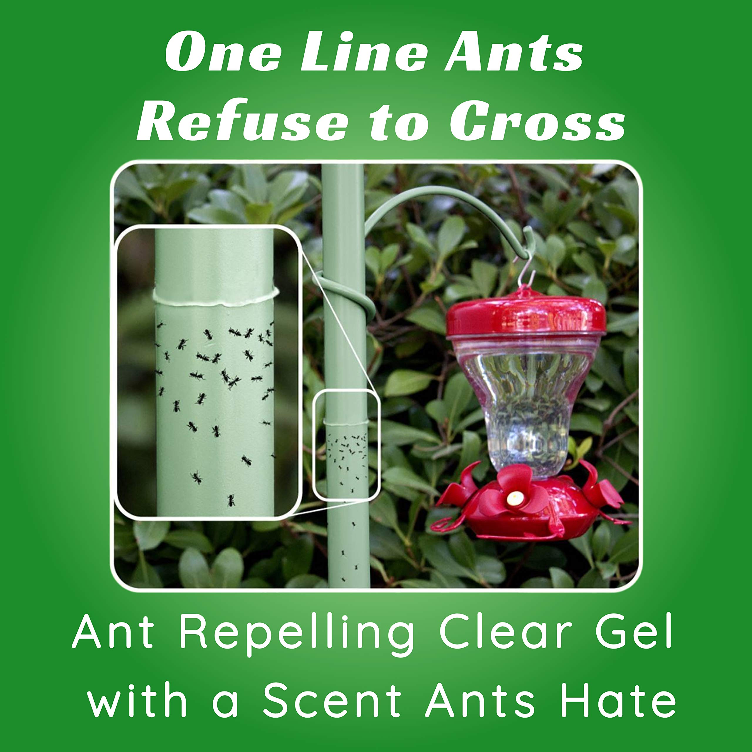 Sapphire Labs Nectar Fortress ant guard feeder pole barrier protects seeds from ants.