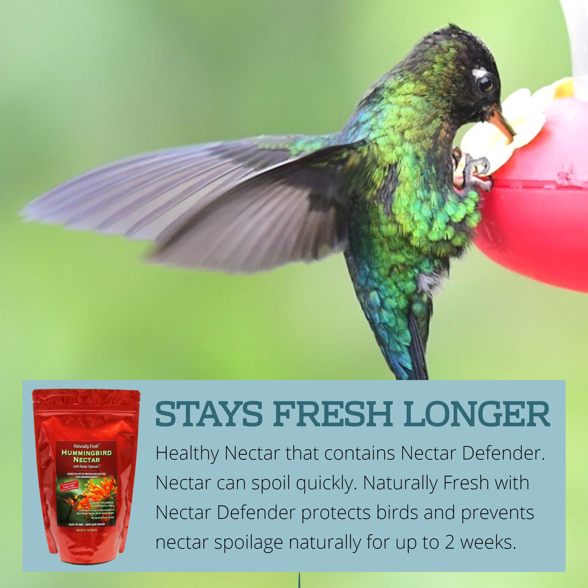 Sapphire Labs 2-pack box showing value and convenience for bird lovers.