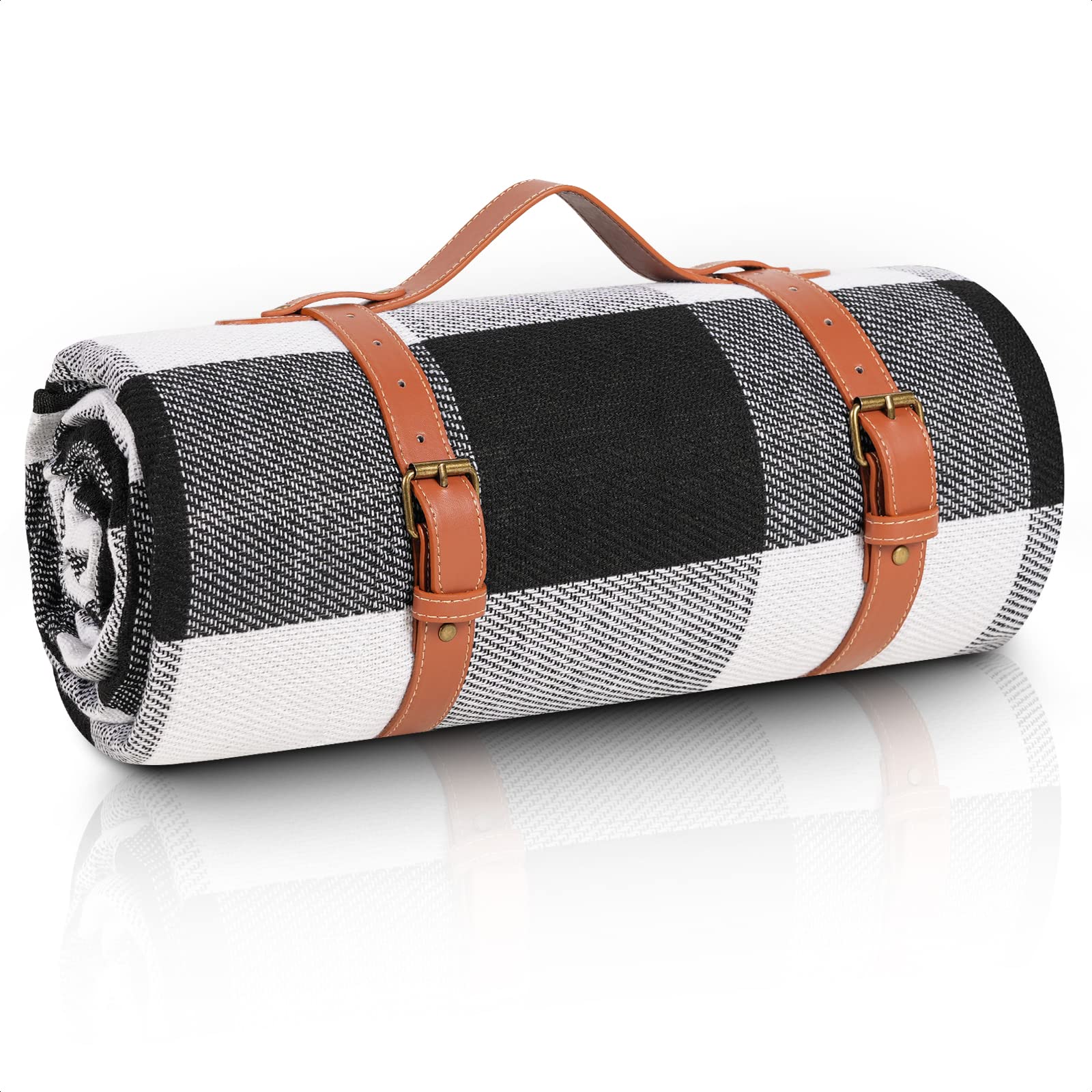 Sapsisel 80x80 picnic blanket spread for a large family picnic outdoors