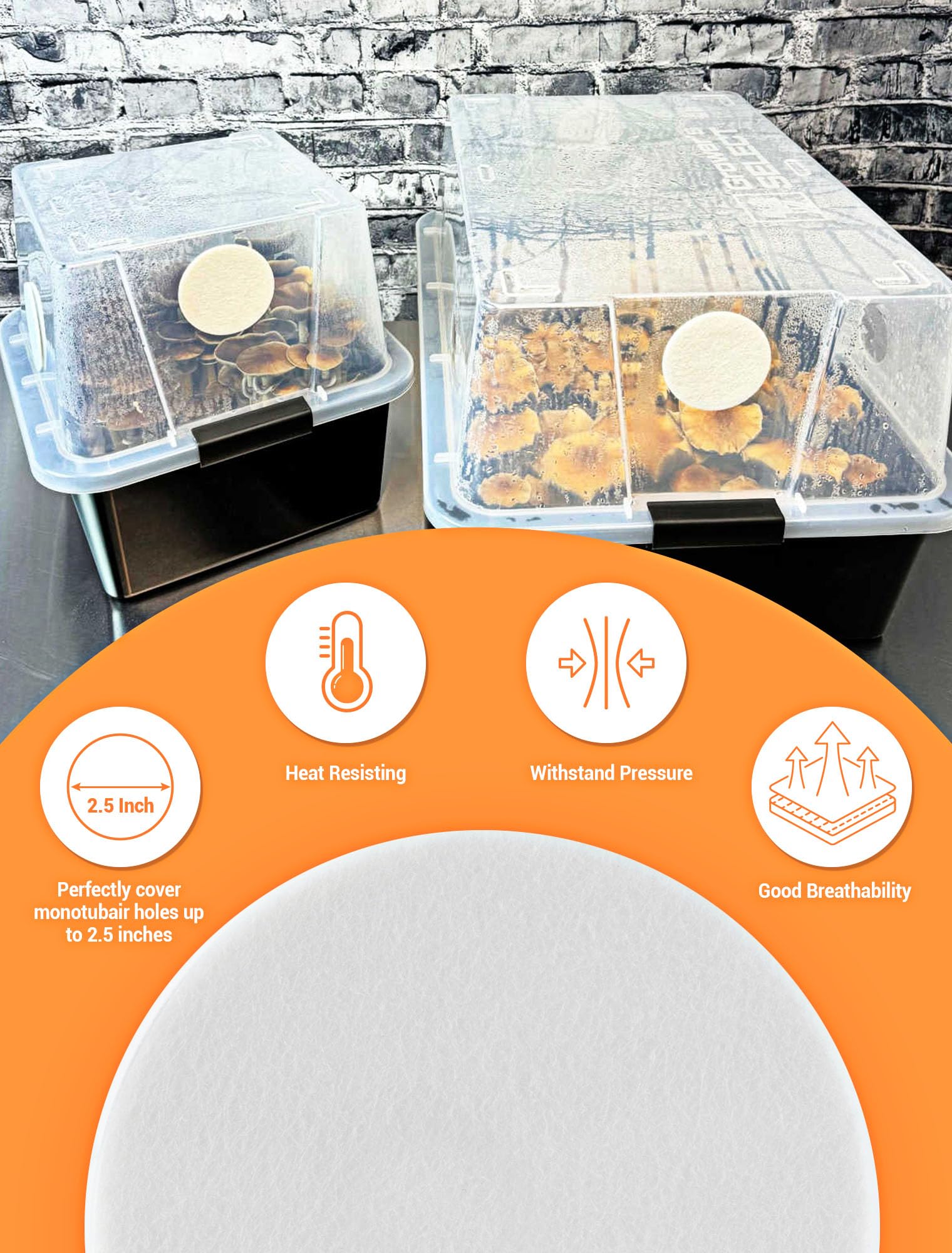 SARDVISA 25in replacement filter pad for monotub setups maintains a controlled environment.