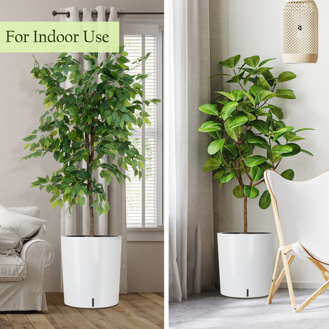 SAROSORA cotton rope watering system delivers moisture directly to plant roots
