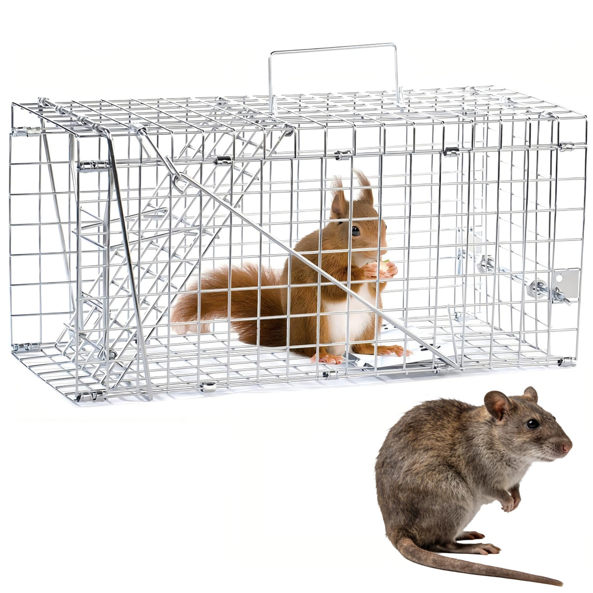 SARSTRY Live Squirrel Trap front view, sturdy galvanized cage for humane capture.