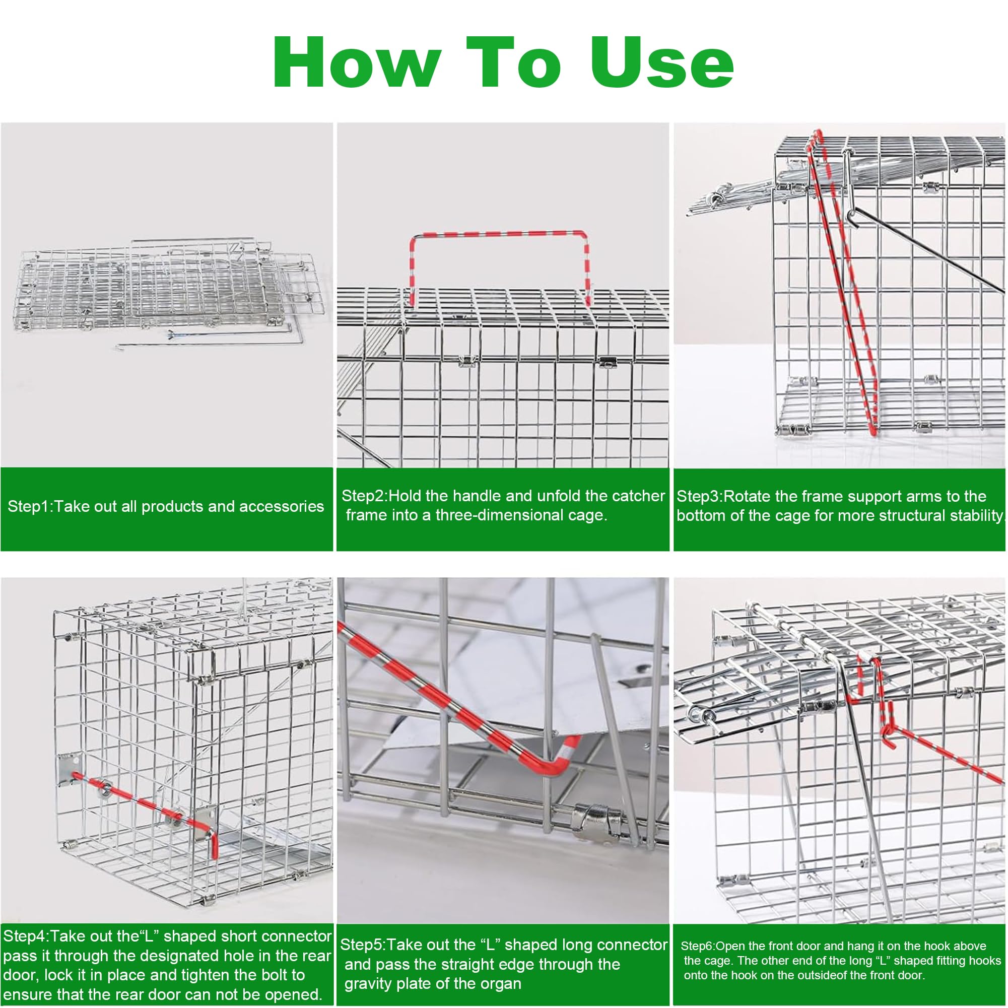 SARSTRY Live Squirrel Trap rear release door for safe release.
