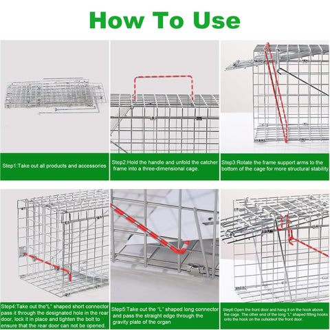 SARSTRY Live Squirrel Trap rear release door for safe release.