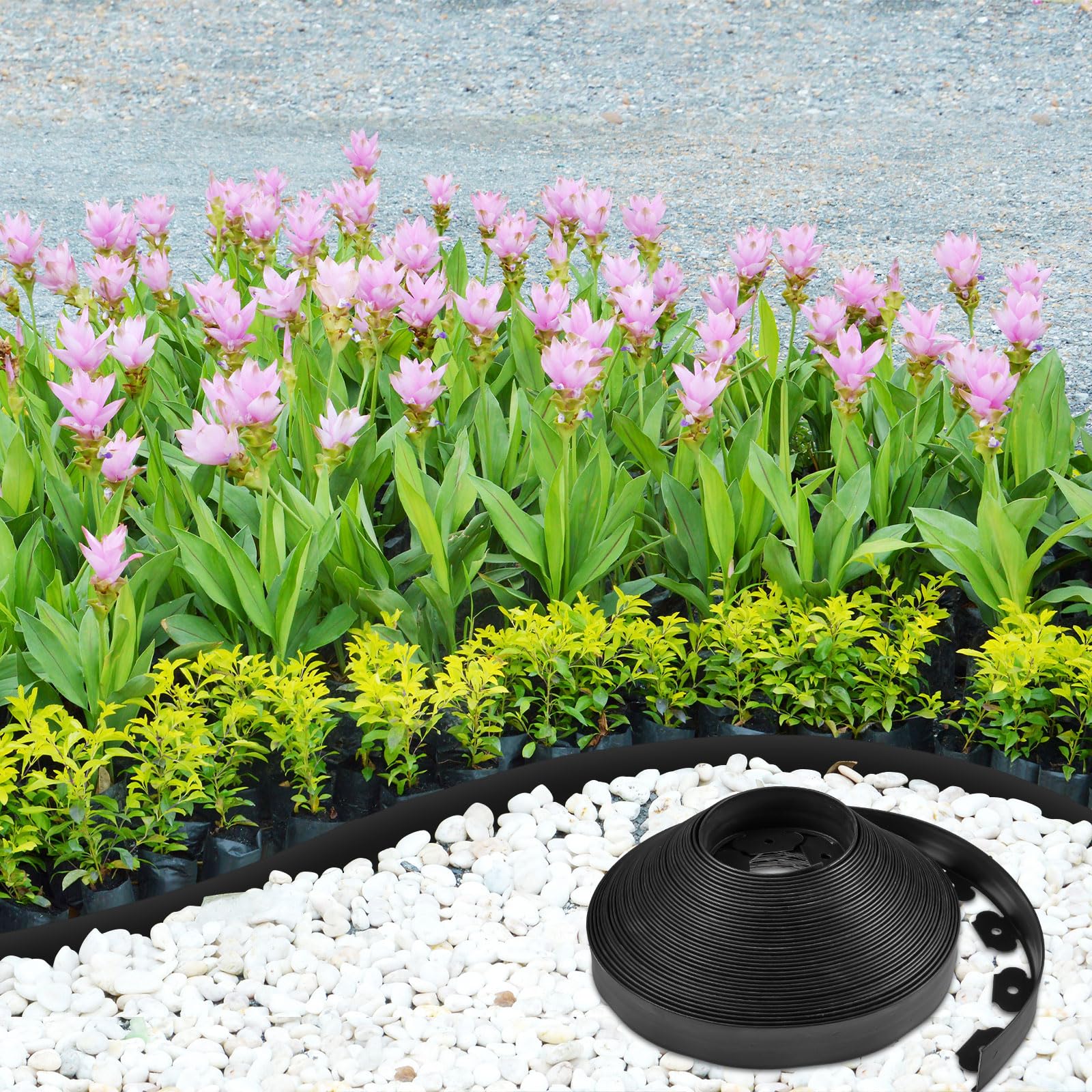 Sasylvia black plastic border blends with any garden style.