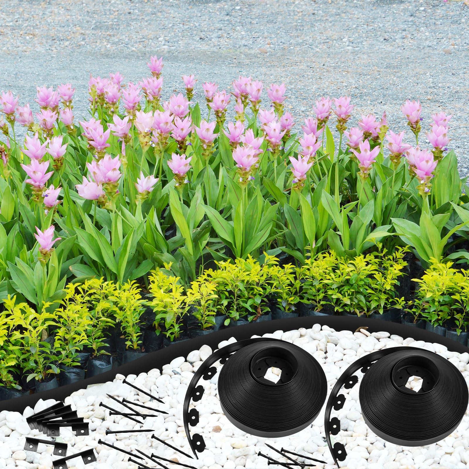 Sasylvia flexible edging curves to fit garden beds