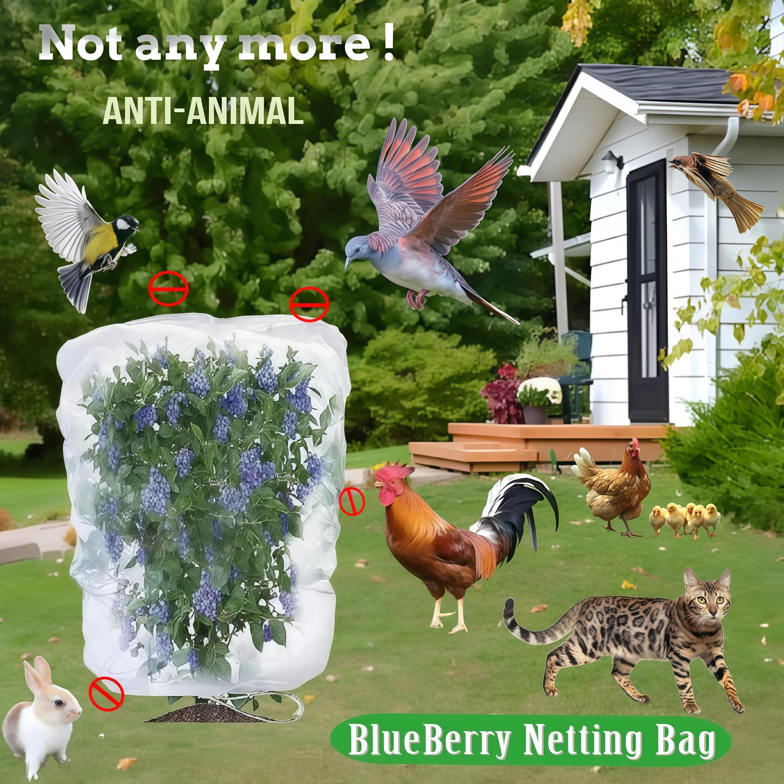 SATOCVAY garden netting shown over a blueberry plant for easy pest defense.