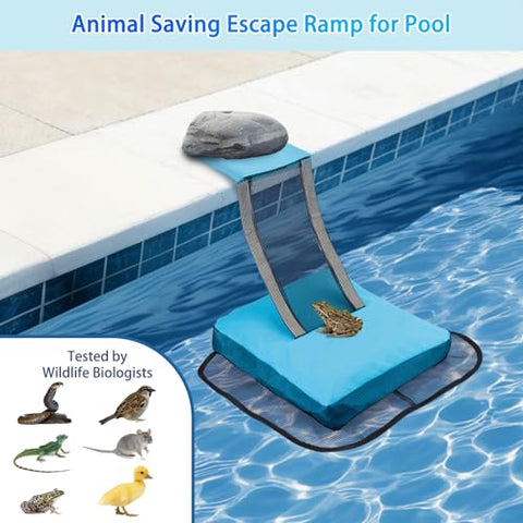 Saugnlbs base dimensions 17x14 inches supporting wider animal exit