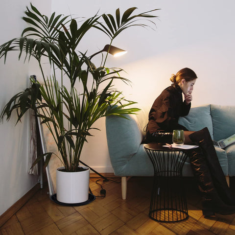 Sawysine saucer is washable and reusable for long-term use