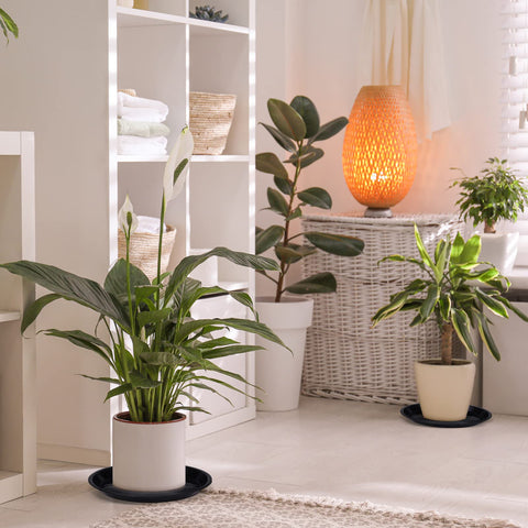 Sawysine 30-pack plant saucers made from thick PP plastic for durability
