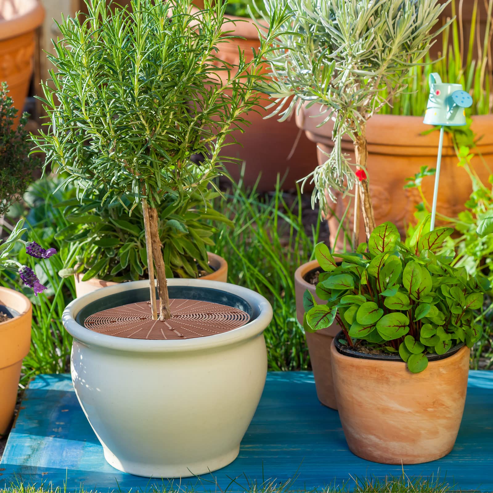 Sawysine pot cover prevents dirt and soil from reaching floors during care