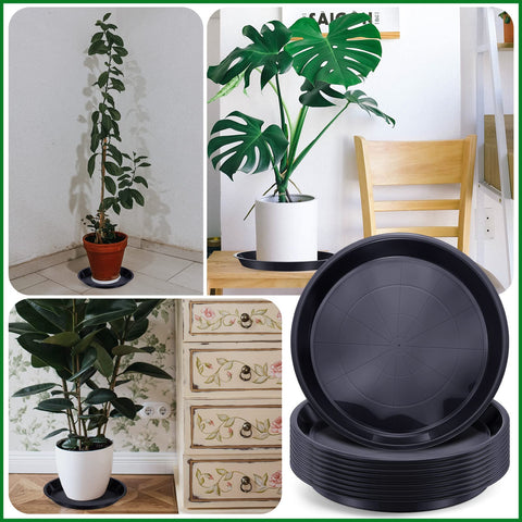 Sawysine plant saucer can double as a pet water dish when needed