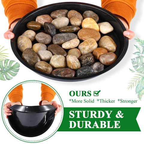 Sawysine plant saucer water tray catching excess irrigation indoors