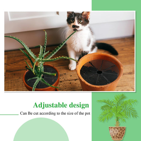 Sawysine soil cover helps keep floors clean and tidy around pots.