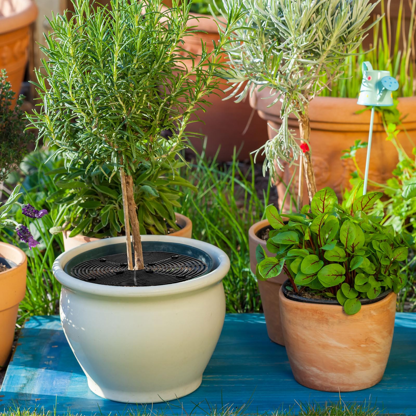 Sawysine weather-resistant pot protector suitable for indoor and outdoor use.