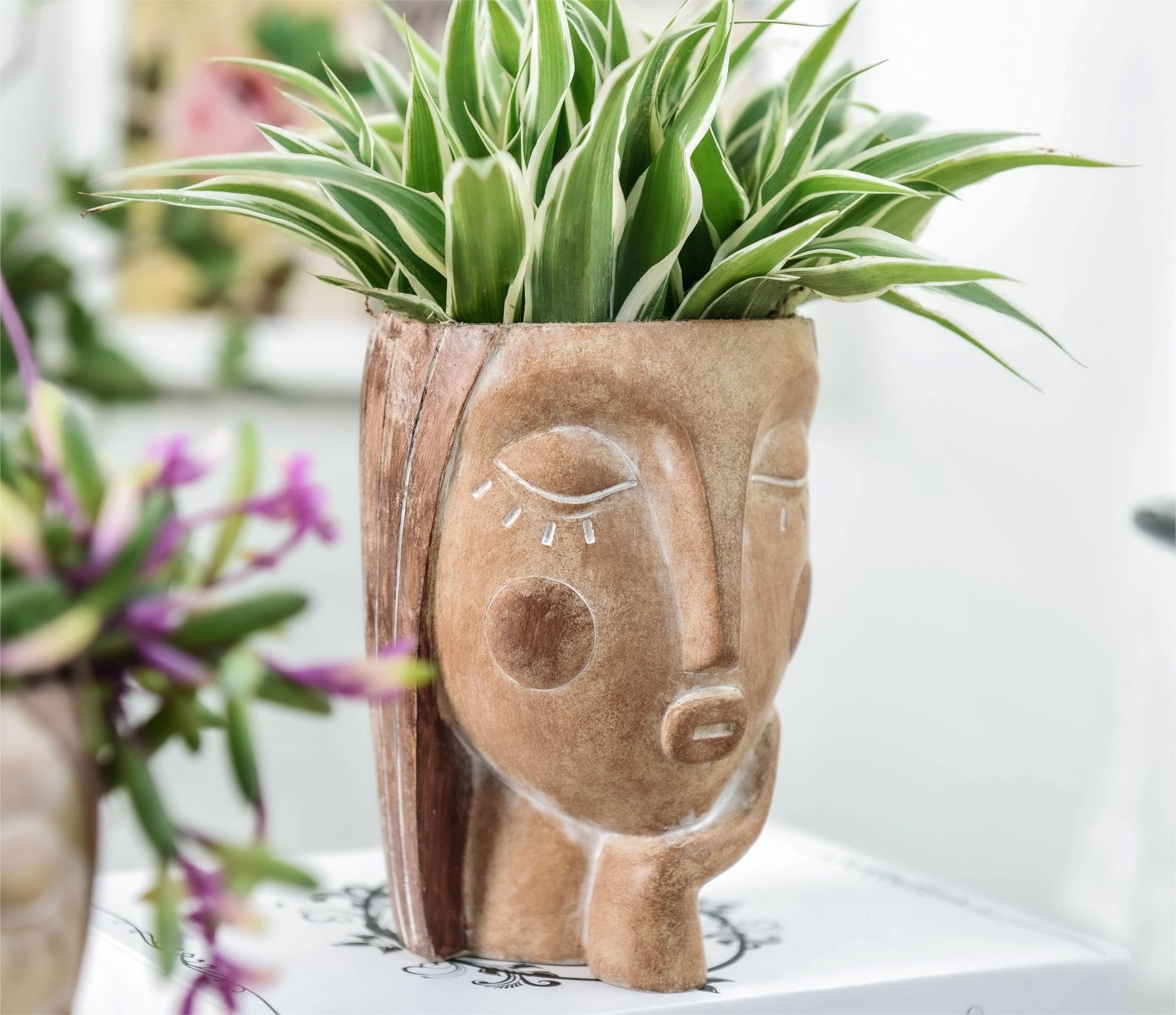 Saysmile face planter suits succulents, ferns, and small plants with cheerful character.