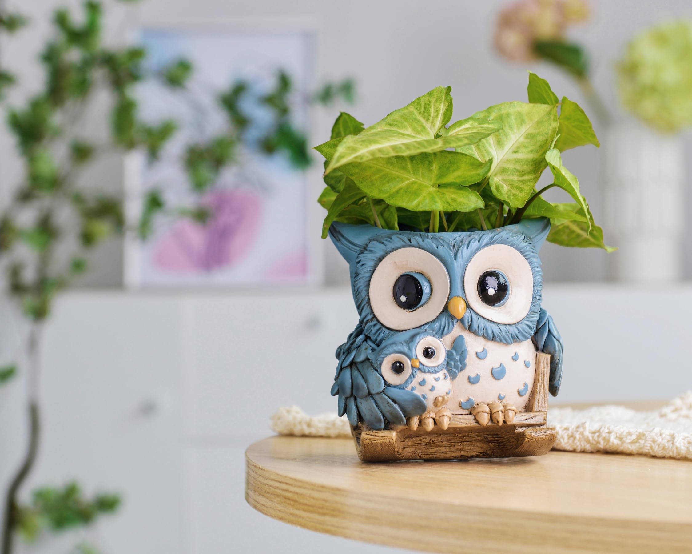 Saysmile indoor-outdoor planter suitable for patios and kitchens
