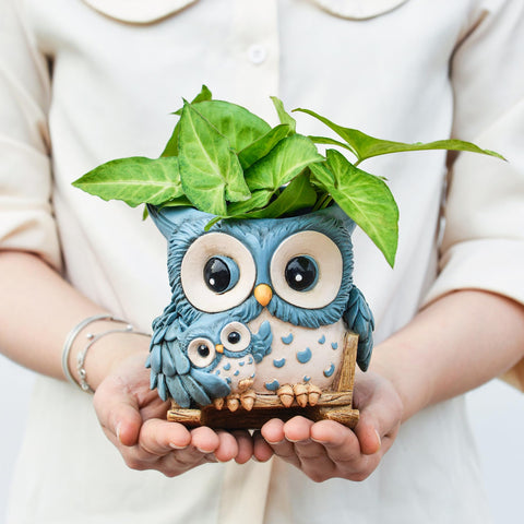 Saysmile small succulent pot fits desks shelves and windowsills