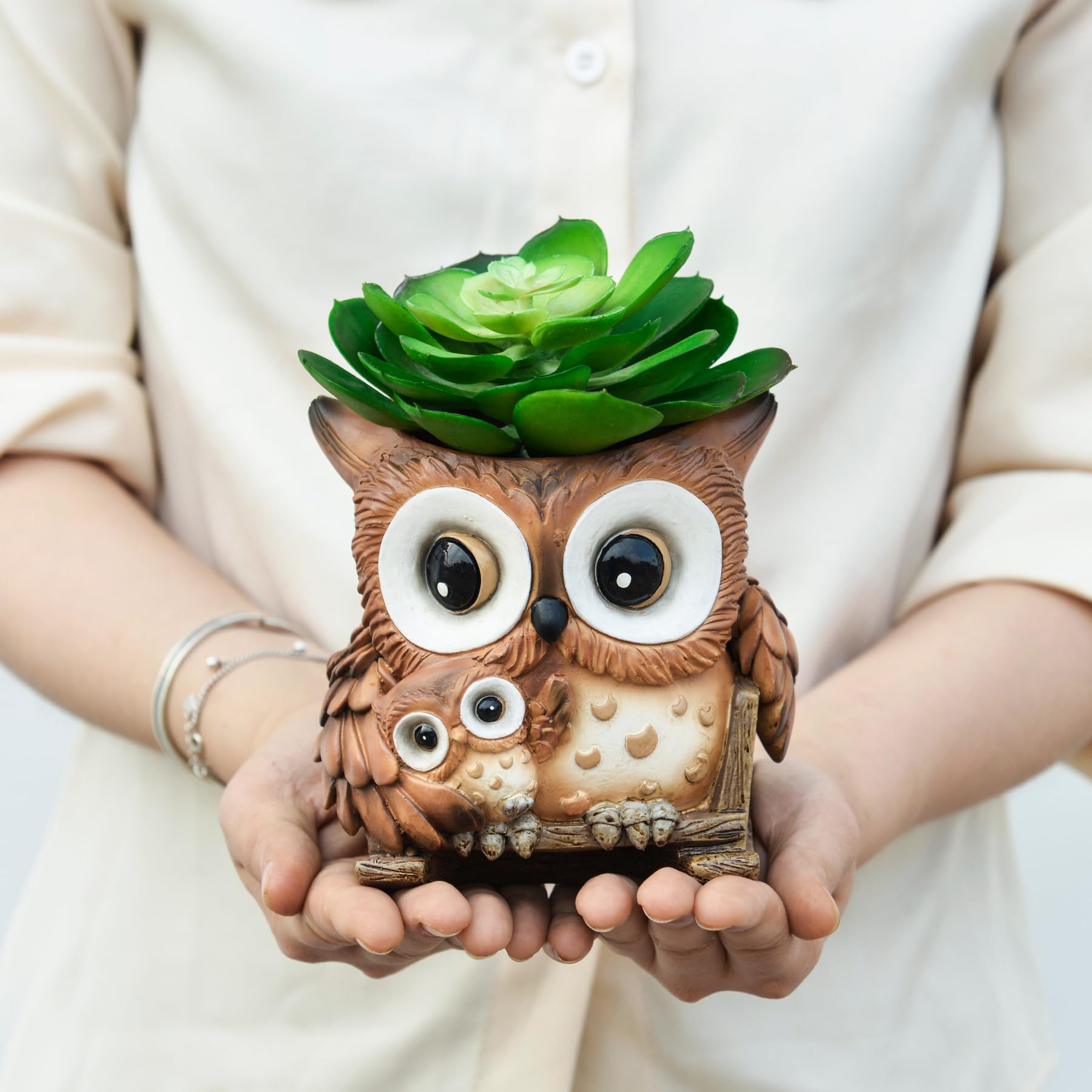 Saysmile string of pearls planter ideal for trailing plants on shelves