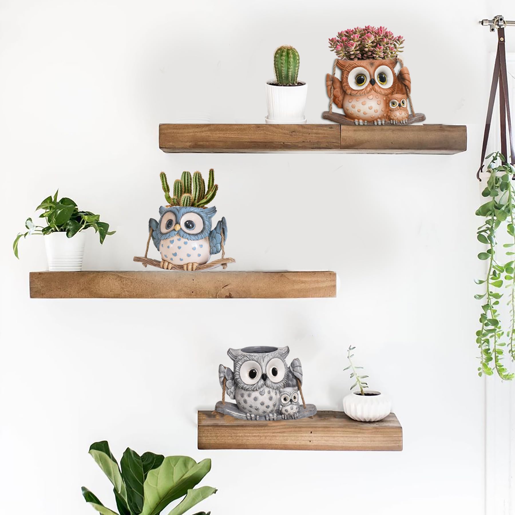 Saysmile String of Pearls Planter ideal for trailing greens in bright spaces