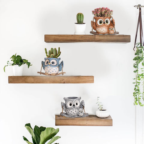 Saysmile String of Pearls Planter ideal for trailing greens in bright spaces